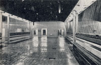 Schwarzkaue