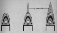 Aureole